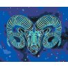 Paint by Number - Aries