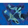 Paint by Number - Sagittarius