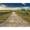 Diamond Painting - Tuscan Vineyards