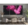 Paint by Number - Pink Jellyfish (set of 3)