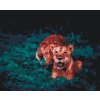 Malování podle čísel - Lvice na lovu