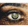 Paint by Number - Crocodile Eye