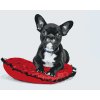 Paint by Number - Black Bulldog on a Pillow