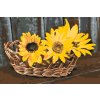 Paint by Number - Basket with Sunflowers