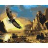Paint by Number - Eagle Circling over the Mountains