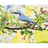Paint by Number - Spring Bird