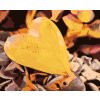 Paint by Number - Yellow Heart