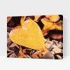 Paint by Number - Yellow Heart