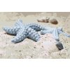 Paint by Number - Starfish in the Sand