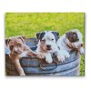 Diamond Painting - Three Puppies