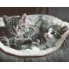 Diamond Painting - Kittens in Basket