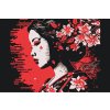 Paint by Number - Geisha