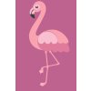 Paint by Number - Little Flamingo