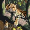 Paint by Number - Spotted Leopard