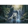 Diamond Painting - White tiger by a waterfall
