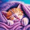 Diamond Painting - Kitten under cover