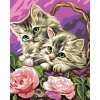 Paint by Number - Kittens in Basket
