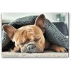 Diamond Painting - Tired Bulldog
