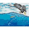 Paint by Number - Eagle on the Hunt