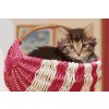 Paint by Number - Kitten in a Basket
