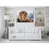 Paint by Number - Lion, King of Animals