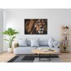 Paint by Number - Predatory Look of a Lion