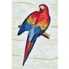 Paint by Number - Vintage Parrot 2