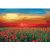 Paint by Number - Poppy Field at Sunset