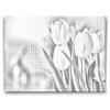 M2_Dotting_Points_-_White_Tulips