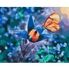 Paint by Number - Butterfly on a Blue Flower