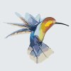 Paint by Number - Hummingbird