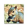 Diamond Painting - Squirrel 