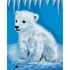 Paint by Number - Polar Bear