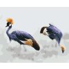 Paint by Number - Royal Crane