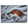 Diamond Painting - Doggy eyes under the cover 2