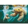 Diamantové malování - Koupel ledního medvěda