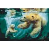 Malování podle čísel - Koupel ledního medvěda