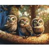 Malování podle čísel - Tři sovičky