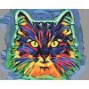 Paint by Number - Colorful Cat 2