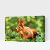 Paint by Number - Squirrel on a Branch