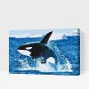 Paint by Number - Orca Jump