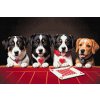 Diamantové malování - Psí karetní hra