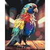 Malování podle čísel - Papoušek v duhových barvách