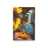 Diamantové malování - Motýl na květin