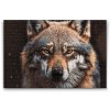 Diamantové malování - Pohled vlka