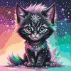 Malování podle čísel - Duhové černé kotě