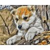 Paint by Number - Puppy Playing in the Wood
