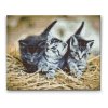 Diamond Painting - Kittens