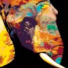 Paint by Number - Colored Elephant