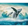Diamond Painting - Whale in the Sky